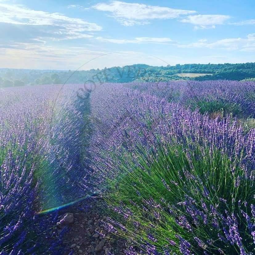 Cote Verdon 2 Quinson Εξωτερικό φωτογραφία